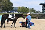 EQUSA-10-02-2021-4405-DDeRosaPhoto