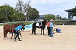 EQUSA-10-02-2021-4417-DDeRosaPhoto