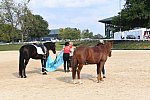 EQUSA-10-02-2021-4418-DDeRosaPhoto