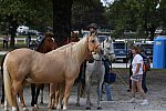 EQUSA-10-02-2021-4431-DDeRosaPhoto