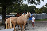 EQUSA-10-02-2021-4433-DDeRosaPhoto