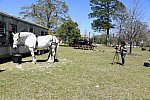 CAMDEN CARRIAGE-4-3-22-8065-DDeRosaPhoto