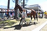 CAROLINA CUP-4-2-22-7131-DDeRosaPhoto