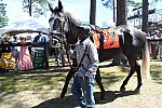 CAROLINA CUP-4-2-22-7142-DDeRosaPhoto