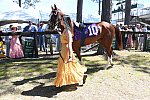CAROLINA CUP-4-2-22-7148-DDeRosaPhoto