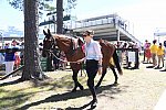CAROLINA CUP-4-2-22-7152-DDeRosaPhoto