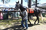 CAROLINA CUP-4-2-22-7165-DDeRosaPhoto