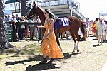 CAROLINA CUP-4-2-22-7170-DDeRosaPhoto