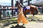 CAROLINA CUP-4-2-22-7171-DDeRosaPhoto