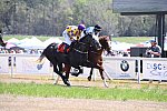 CAROLINA CUP-4-2-22-7251-DDeRosaPhoto