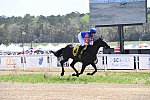 CAROLINA CUP-4-2-22-7287-DDeRosaPhoto