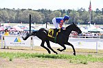 CAROLINA CUP-4-2-22-7293-DDeRosaPhoto