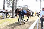 CAROLINA CUP-4-2-22-7337-DDeRosaPhoto