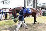 CAROLINA CUP-4-2-22-7338-DDeRosaPhoto