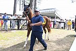 CAROLINA CUP-4-2-22-7339-DDeRosaPhoto