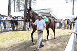 CAROLINA CUP-4-2-22-7359-DDeRosaPhoto