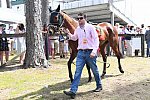 CAROLINA CUP-4-2-22-7363-DDeRosaPhoto