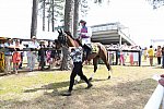 CAROLINA CUP-4-2-22-7381-DDeRosaPhoto