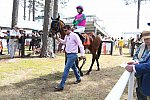 CAROLINA CUP-4-2-22-7383-DDeRosaPhoto