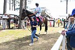 CAROLINA CUP-4-2-22-7385-DDeRosaPhoto