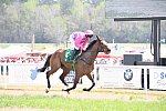 CAROLINA CUP-4-2-22-7406-DDeRosaPhoto