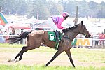 CAROLINA CUP-4-2-22-7423-DDeRosaPhoto