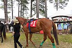 CAROLINA CUP-4-2-22-7524-DDeRosaPhoto