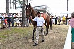 CAROLINA CUP-4-2-22-7535-DDeRosaPhoto