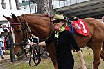 CAROLINA CUP-4-2-22-7541-DDeRosaPhoto