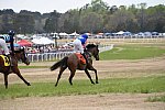 CAROLINA CUP-4-2-22-7603-DDeRosaPhoto