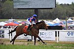 CAROLINA CUP-4-2-22-7653-DDeRosaPhoto
