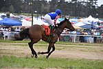 CAROLINA CUP-4-2-22-7669-DDeRosaPhoto