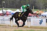 CAROLINA CUP-4-2-22-7748-DDeRosaPhoto