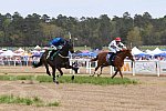 CAROLINA CUP-4-2-22-7782-DDeRosaPhoto