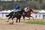 CAROLINA CUP-4-2-22-7790-DDeRosaPhoto