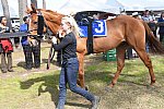 CAROLINA CUP-4-2-22-7855-DDeRosaPhoto