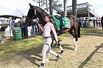 CAROLINA CUP-4-2-22-7859-DDeRosaPhoto