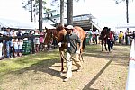 CAROLINA CUP-4-2-22-7865-DDeRosaPhoto