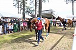 CAROLINA CUP-4-2-22-7867-DDeRosaPhoto