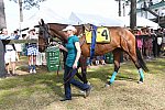 CAROLINA CUP-4-2-22-7875-DDeRosaPhoto