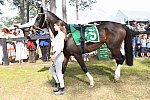 CAROLINA CUP-4-2-22-7878-DDeRosaPhoto