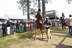 CAROLINA CUP-4-2-22-7889-DDeRosaPhoto