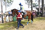 CAROLINA CUP-4-2-22-7894-DDeRosaPhoto