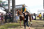 CAROLINA CUP-4-2-22-7908-DDeRosaPhoto