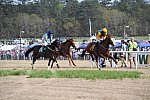 CAROLINA CUP-4-2-22-7939-DDeRosaPhoto