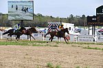 CAROLINA CUP-4-2-22-7945-DDeRosaPhoto