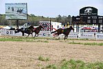 CAROLINA CUP-4-2-22-7947-DDeRosaPhoto