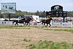 CAROLINA CUP-4-2-22-7948-DDeRosaPhoto