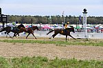 CAROLINA CUP-4-2-22-7957-DDeRosaPhoto