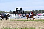 CAROLINA CUP-4-2-22-7989-DDeRosaPhoto